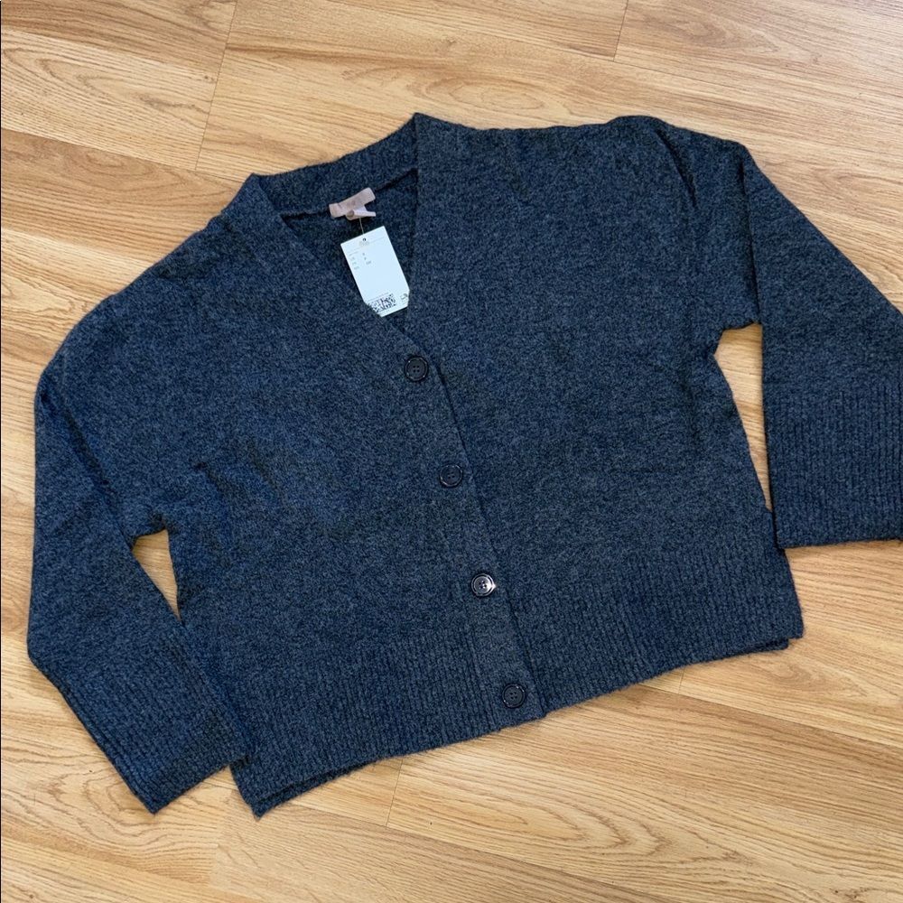 NWT H&M Gray Cardigan Sweater Size Small Wool Blend Poetcore Front Button V Neck